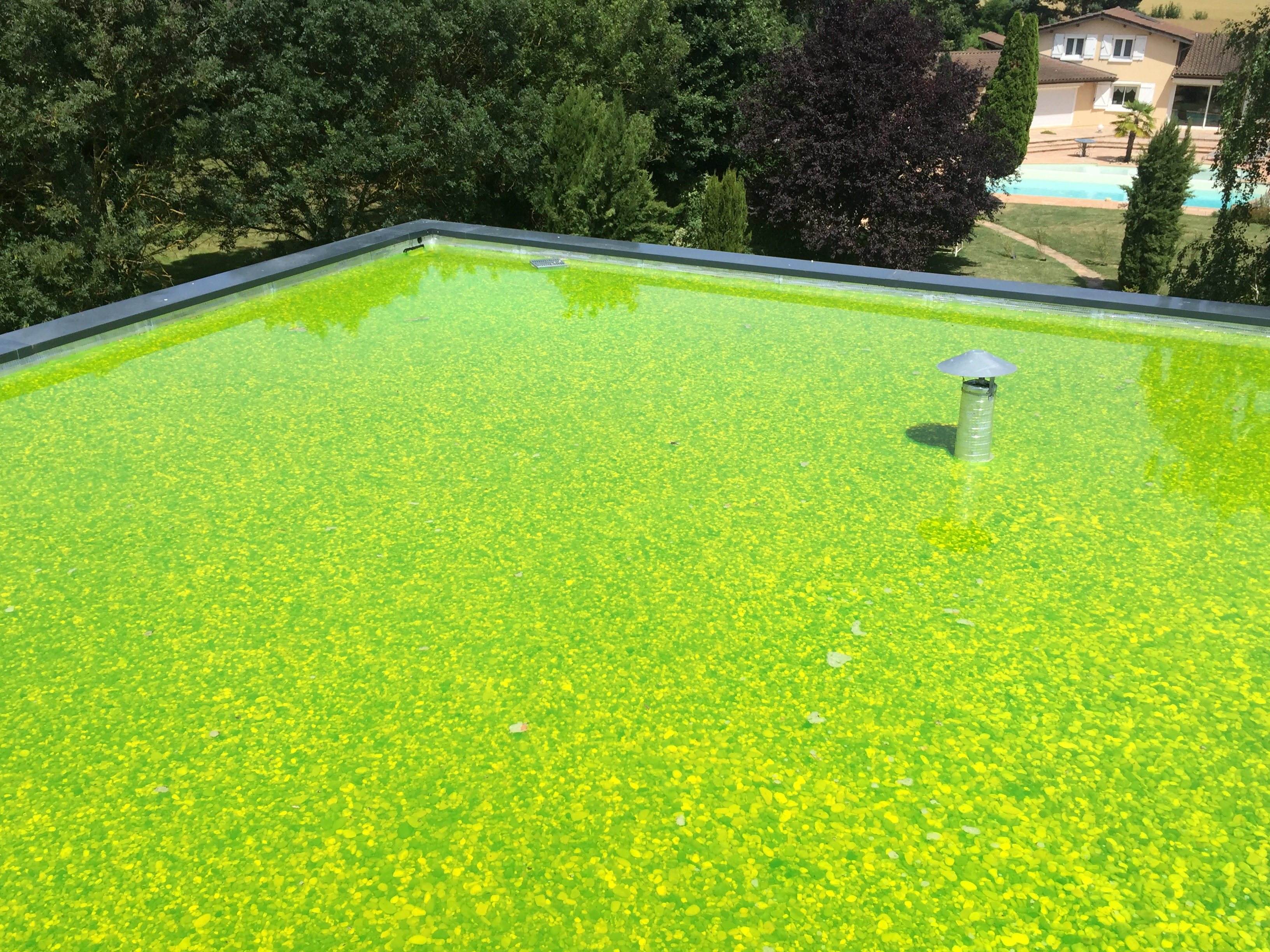 mise en eau colorée